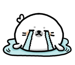 Sticker of Cute Seals sticker #10062829