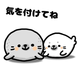 Sticker of Cute Seals sticker #10062842