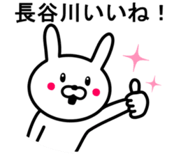 Rabbit to HASEGAWA sticker #10063168