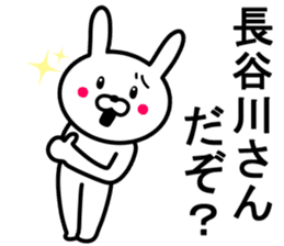 Rabbit to HASEGAWA sticker #10063169