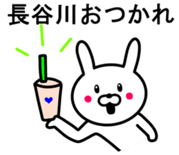 Rabbit to HASEGAWA sticker #10063170