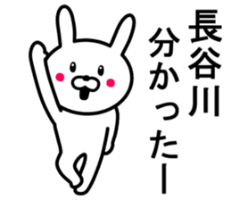 Rabbit to HASEGAWA sticker #10063173