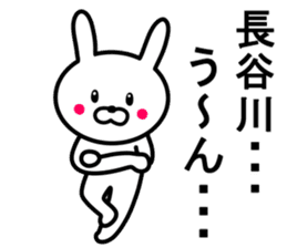 Rabbit to HASEGAWA sticker #10063176