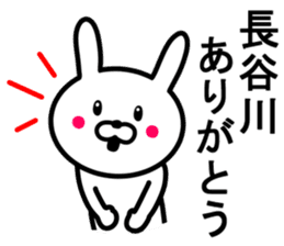 Rabbit to HASEGAWA sticker #10063177