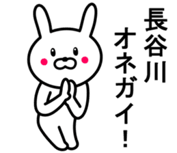 Rabbit to HASEGAWA sticker #10063179