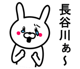 Rabbit to HASEGAWA sticker #10063180