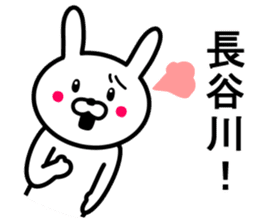 Rabbit to HASEGAWA sticker #10063181