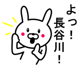 Rabbit to HASEGAWA sticker #10063187