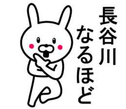 Rabbit to HASEGAWA sticker #10063191