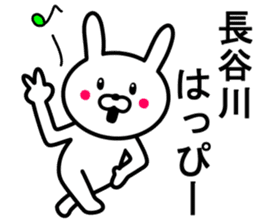 Rabbit to HASEGAWA sticker #10063195