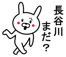 Rabbit to HASEGAWA sticker #10063196