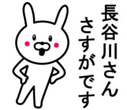Rabbit to HASEGAWA sticker #10063200