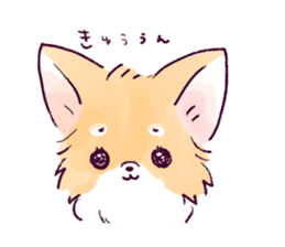 chiwawa sticker sticker #10064097