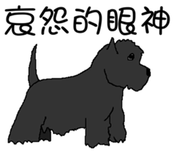 Wen with her black Ma Ma dog sticker #10066705