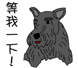 Wen with her black Ma Ma dog sticker #10066707