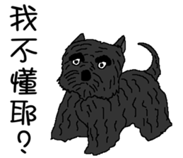 Wen with her black Ma Ma dog sticker #10066710