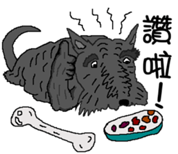 Wen with her black Ma Ma dog sticker #10066716