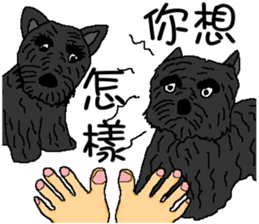 Wen with her black Ma Ma dog sticker #10066717