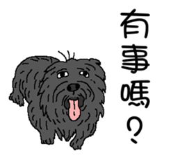 Wen with her black Ma Ma dog sticker #10066721