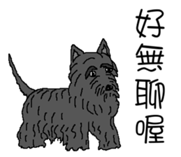 Wen with her black Ma Ma dog sticker #10066726