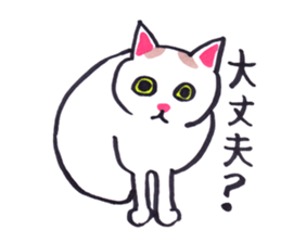 Embarrassed  Cat Sticker sticker #10067646