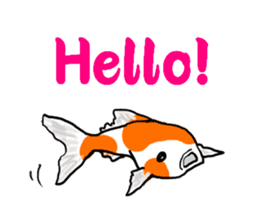 Nishikigoi in English(Colored carp) sticker #10070545