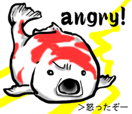 Nishikigoi in English(Colored carp) sticker #10070548