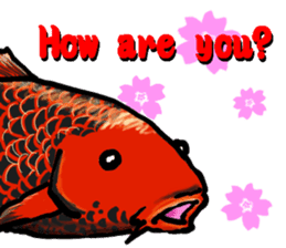 Nishikigoi in English(Colored carp) sticker #10070554