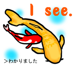 Nishikigoi in English(Colored carp) sticker #10070557