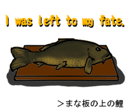 Nishikigoi in English(Colored carp) sticker #10070564