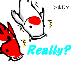 Nishikigoi in English(Colored carp) sticker #10070572