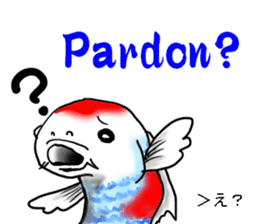 Nishikigoi in English(Colored carp) sticker #10070576