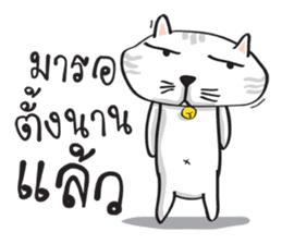 white cat in the house sticker #10070664