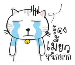 white cat in the house sticker #10070666