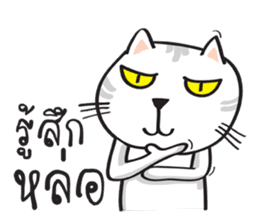 white cat in the house sticker #10070667