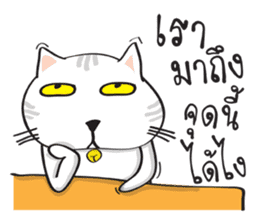 white cat in the house sticker #10070669