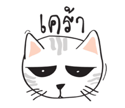 white cat in the house sticker #10070672
