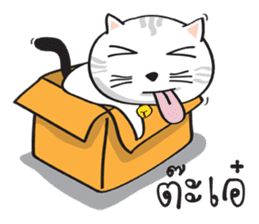 white cat in the house sticker #10070673