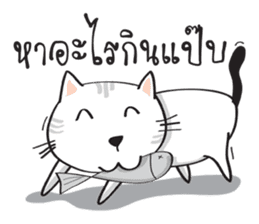 white cat in the house sticker #10070675