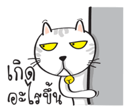 white cat in the house sticker #10070676