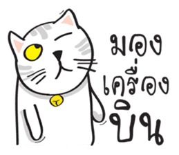 white cat in the house sticker #10070680