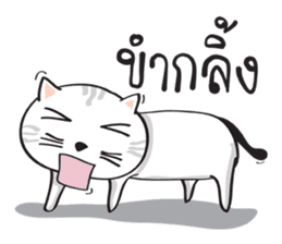 white cat in the house sticker #10070683