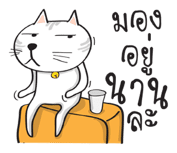 white cat in the house sticker #10070687