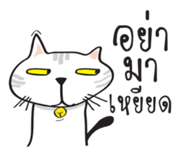 white cat in the house sticker #10070690