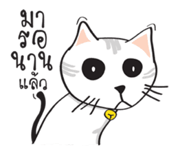 white cat in the house sticker #10070695