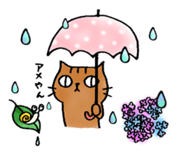A cat named Torata6 in spring sticker #10071061