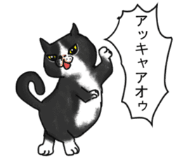 British Shorthair fat cat sticker #10072791