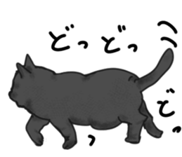 British Shorthair fat cat sticker #10072793