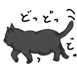 British Shorthair fat cat sticker #10072793