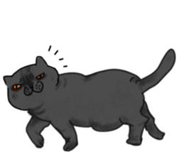 British Shorthair fat cat sticker #10072794